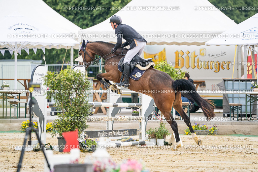 DSC09370 | Pferdegrafie