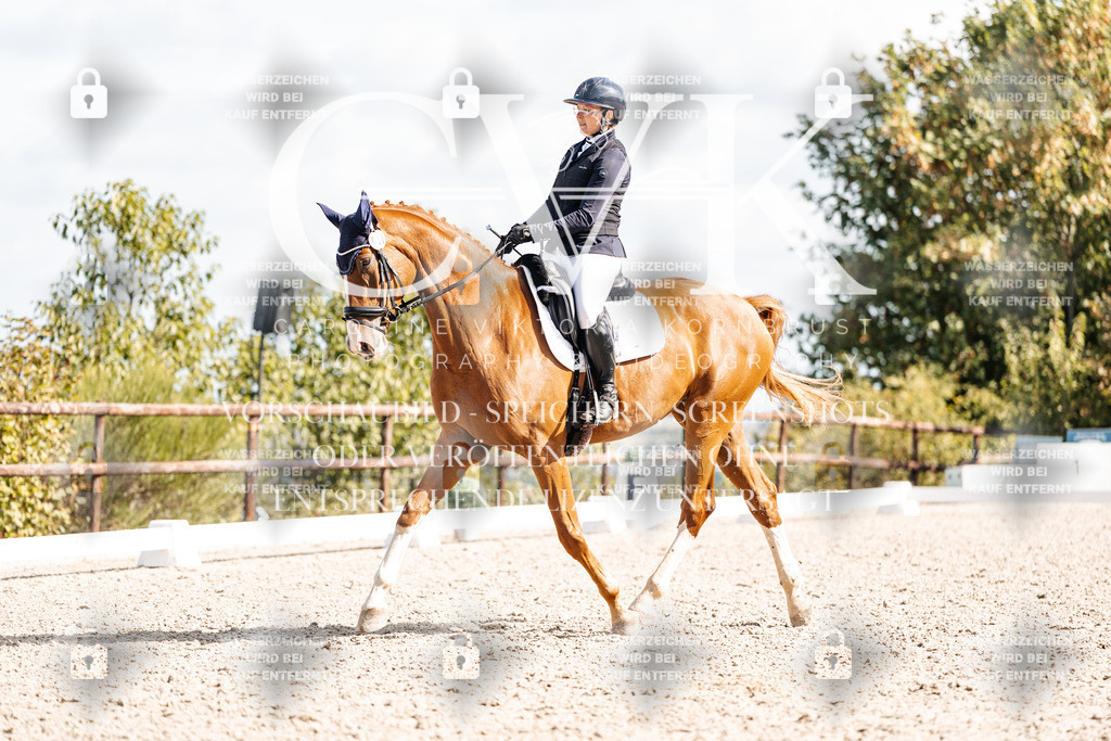 CK902455 | Turnierfotografie Pferdefotografie Trier Rheinland-Pfalz Pferdesport Reitsport Tierfotografie Sportfotografie Pferdevideo Pferdevideografie Equestrianvideography equestrianphotography  - Realisiert mit Pictrs.com