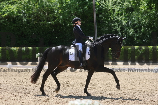 Böblingen_2025_Prfg.Nr.08_Dressurprüfung_Kl.M_Nürnberger Burgpokal_Nova Eden Gelf_Beckham GT (10) | Alle Fotos der Reiterjournal Fotografin Doris Matthaes im Reiterjournal Online-Fotoshop. - Realisiert mit Pictrs.com