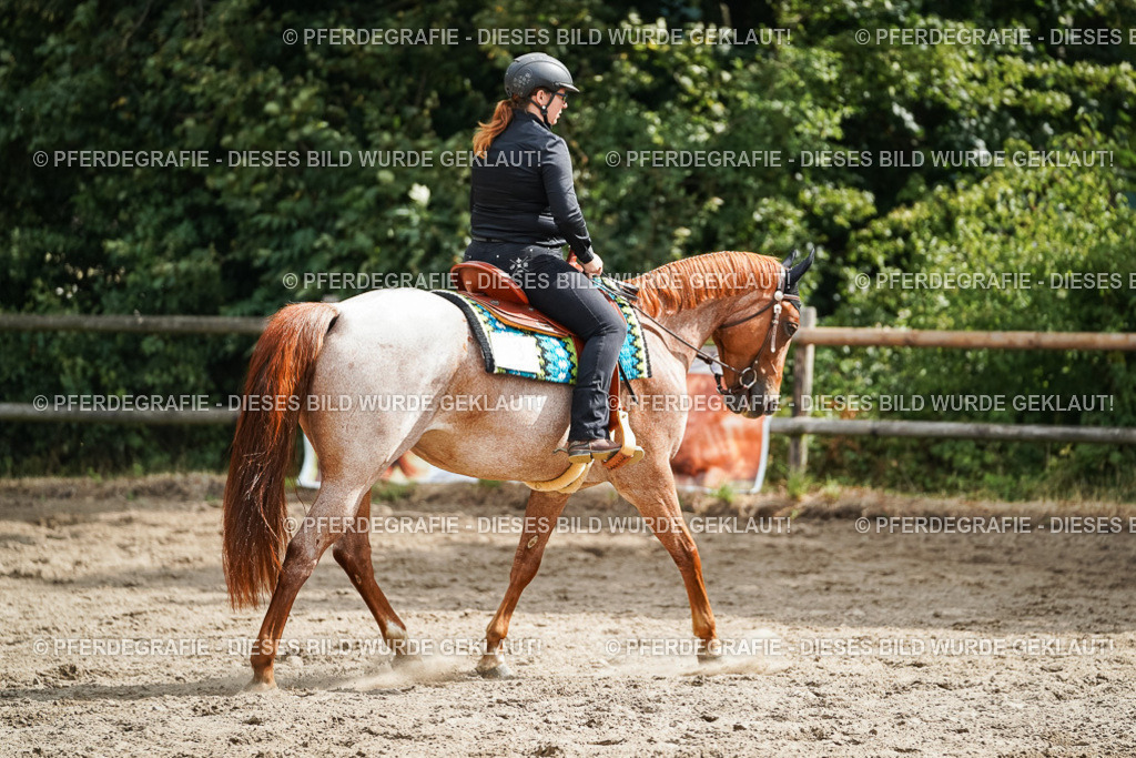 DSC04308 | Pferdegrafie