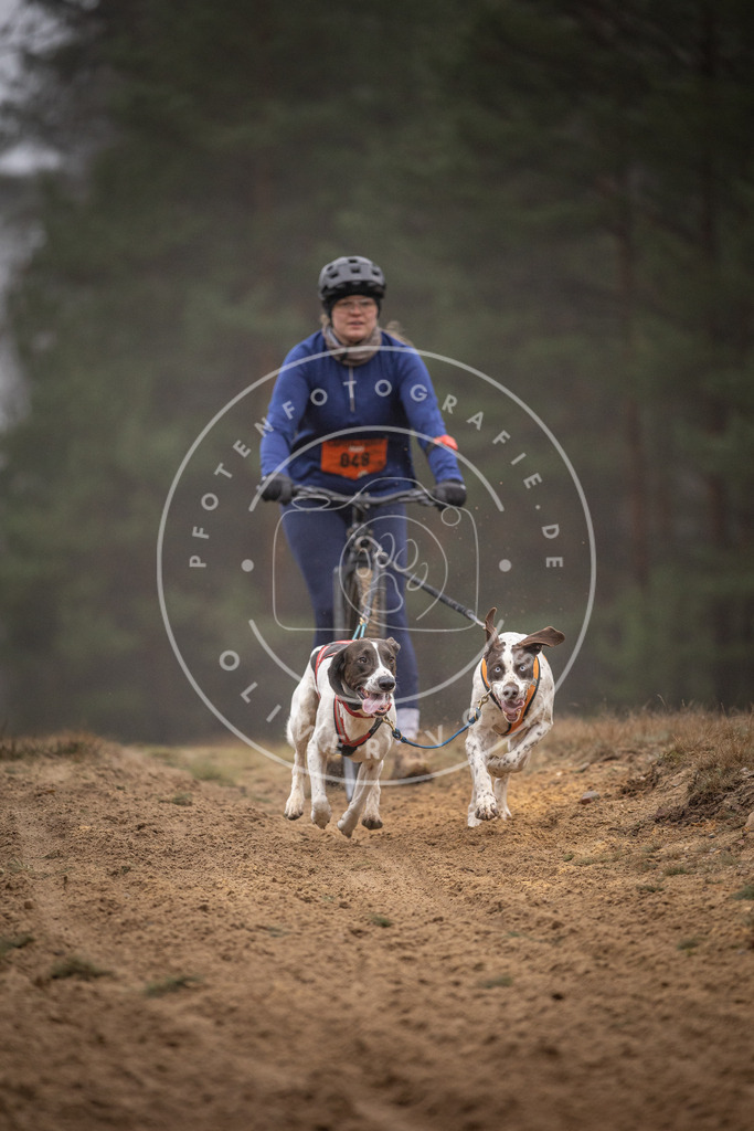 Pfotenfotografie_DV3A1168 | Hundefotografie, Tierfotograf, Pfotenfotografie, Fotoshooting Hund, Hunde Portrait, Hundesport, Hundeportraits, Heideshooting, Hunde, Sportfotograf, Hundefotograf, Turnierhundsport, THS,  - Realisiert mit Pictrs.com