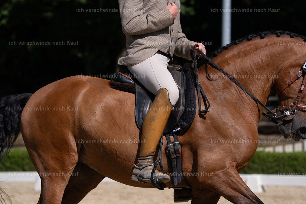 WS_DR_62_sinafilmart_IN04079 | working equitationturnier fotograf videograf stoibphotography marixx film working equitation deutschland reitsport turnierfotografie eventfotografie equestrian events
