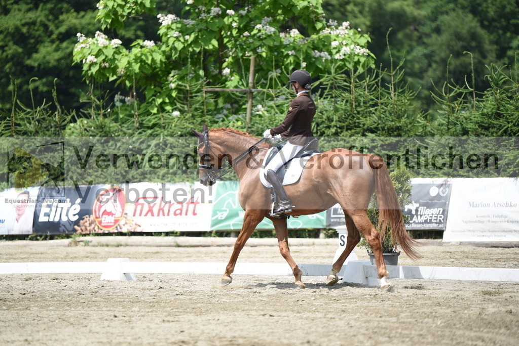 DSC_9224 | equestrian-live-com