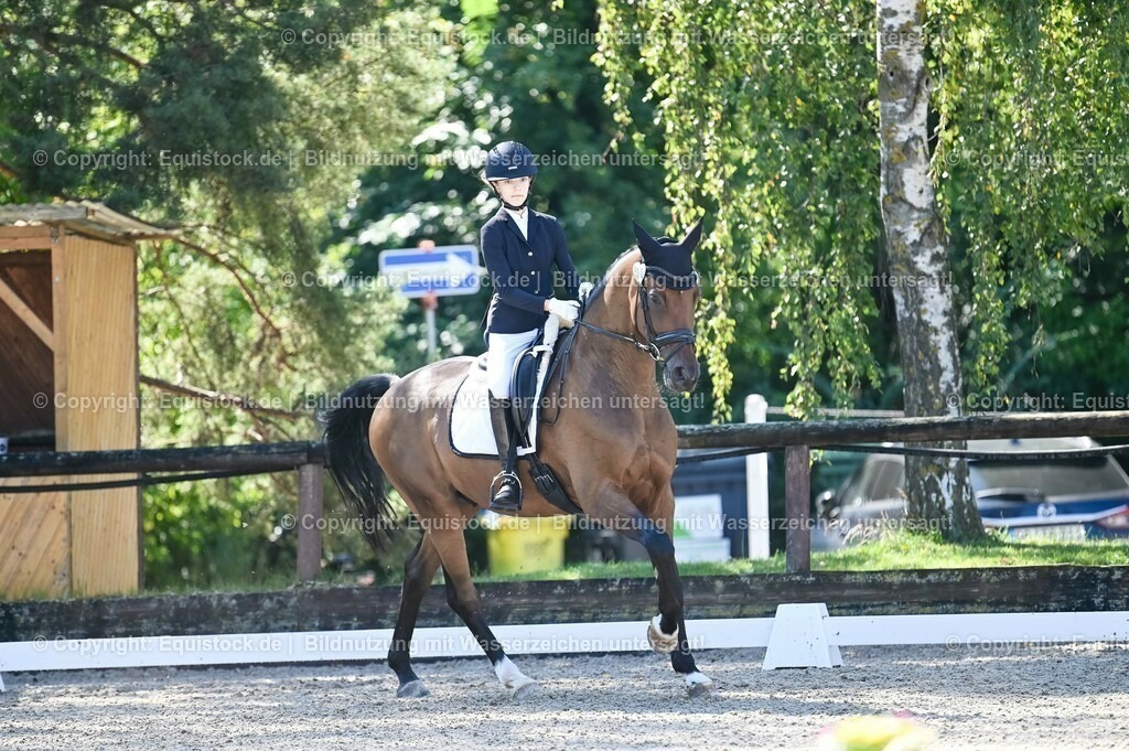 20230908_06_Dressur-L-Trense_0313 | equistock
