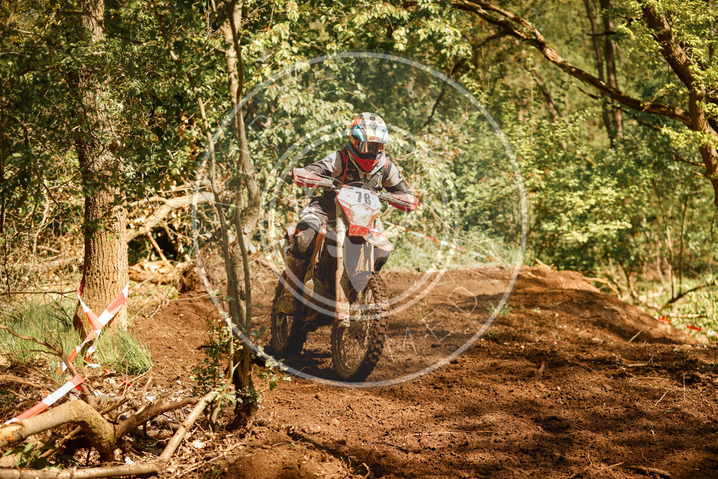 RottlebenIGE25_Lauf2-260 | koppe-media