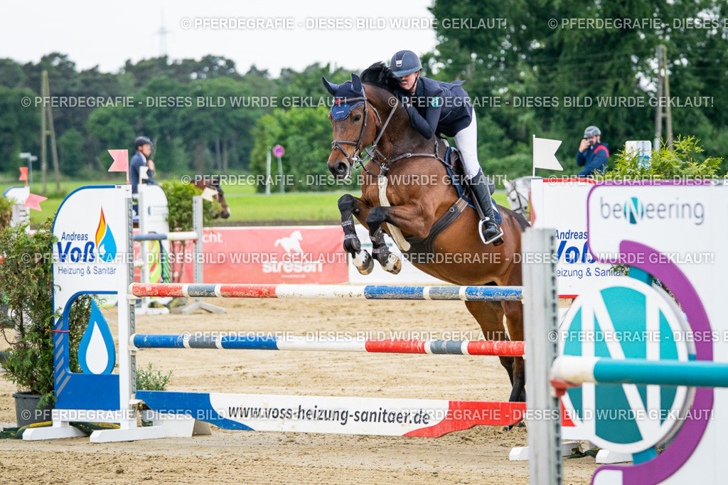 DSC05679 | Pferdegrafie