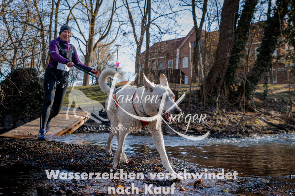 0812_ZZ90061 | kk-dogfotos