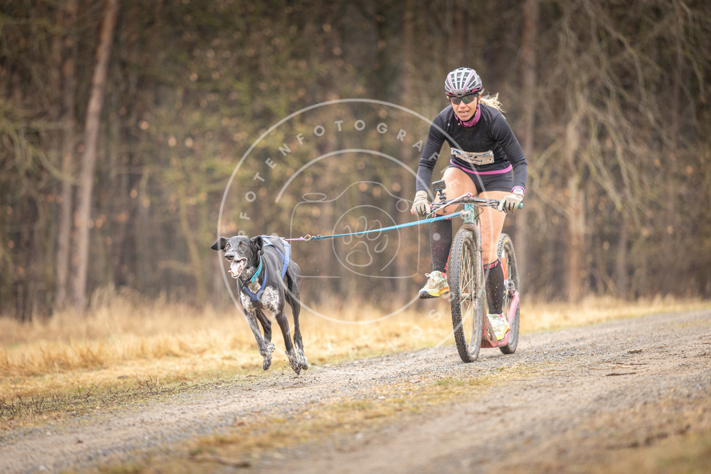 DV3A3164 | Hundefotografie, Tierfotograf, Pfotenfotografie, Fotoshooting Hund, Hunde Portrait, Hundesport, Hundeportraits, Heideshooting, Hunde, Sportfotograf, Hundefotograf, Turnierhundsport, THS,  - Realisiert mit Pictrs.com