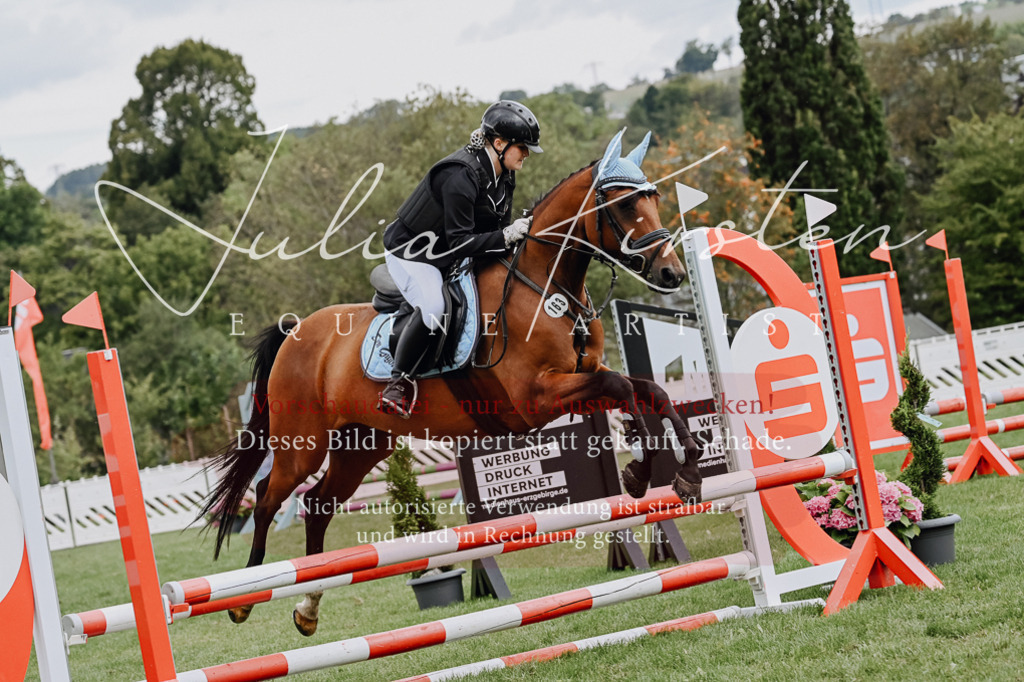 DSC_6832 | Pferde- und Turnierfotografie in Westsachsen. Pferdeportraits, Auftragszeichnungen und intuitive Kunst.