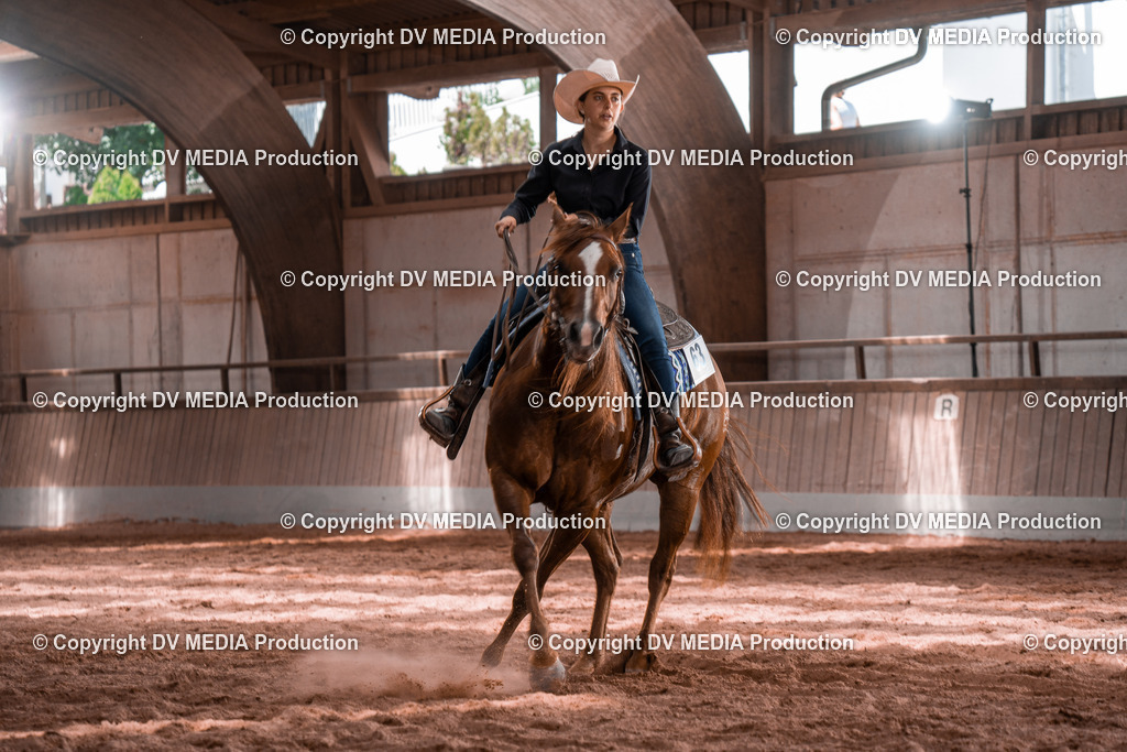 NE100542 | dv-media-shop - Realisiert mit Pictrs.com