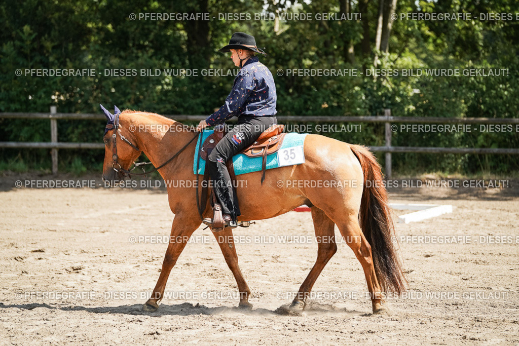 DSC06773 | Pferdegrafie