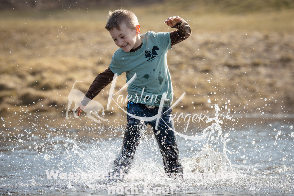 1130_ZZ94918 | kk-dogfotos