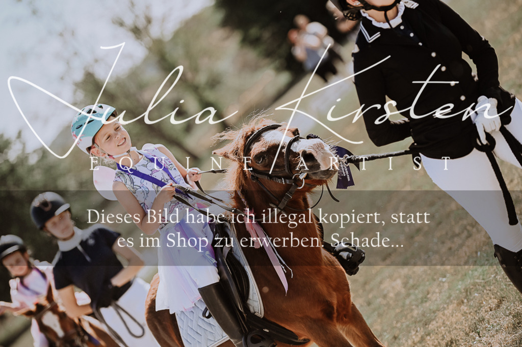 DSC_9081 | Pferde- und Turnierfotografie in Westsachsen. Pferdeportraits, Auftragszeichnungen und intuitive Kunst.