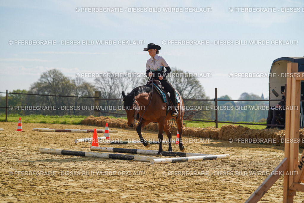 DSC01218 | Pferdegrafie