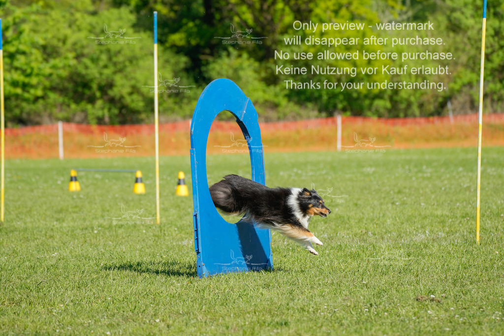 Sa_CSC-165 | stephaniefillaphotographie - Realisiert mit Pictrs.com