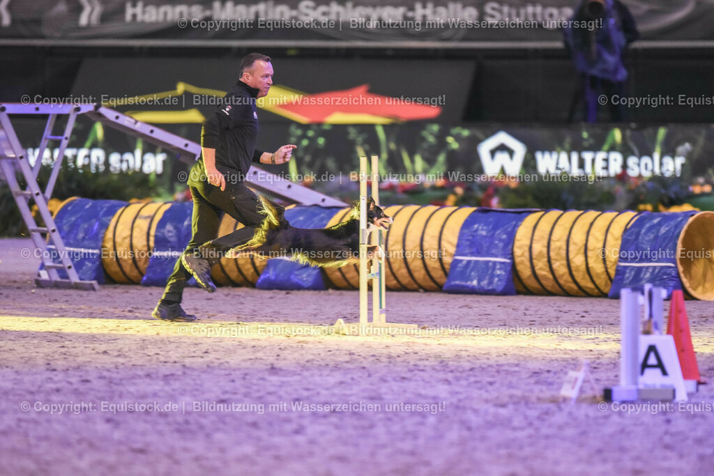 20231115_Dog-Agility_0193_TOMsPiC | Foto: Thomas Hartig
