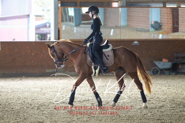 DKP42594 | Turniersportfotografie; Pferdefotografie; Dressurfotografie
