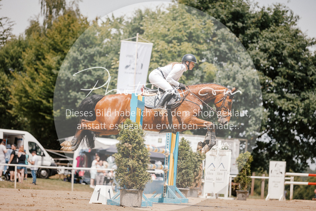 3I6A7738 | Stimmungsvolle Portraits und Reitsportfotografie im Ruhrgebiet und im Münsterland.

Pferdefotografie, Hundefotografie, Tierfotografie, Reportagen, Portraits von Tier und Mensch, Turnierfotografie in Bochum, Recklinghausen, Marl, Haltern am See, Dülmen.. - Realisiert mit Pictrs.com