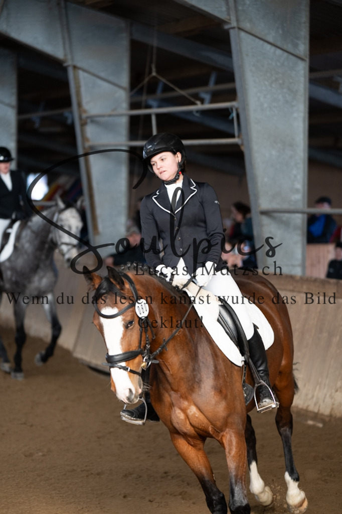 A7V05368 | Pferdefotograf