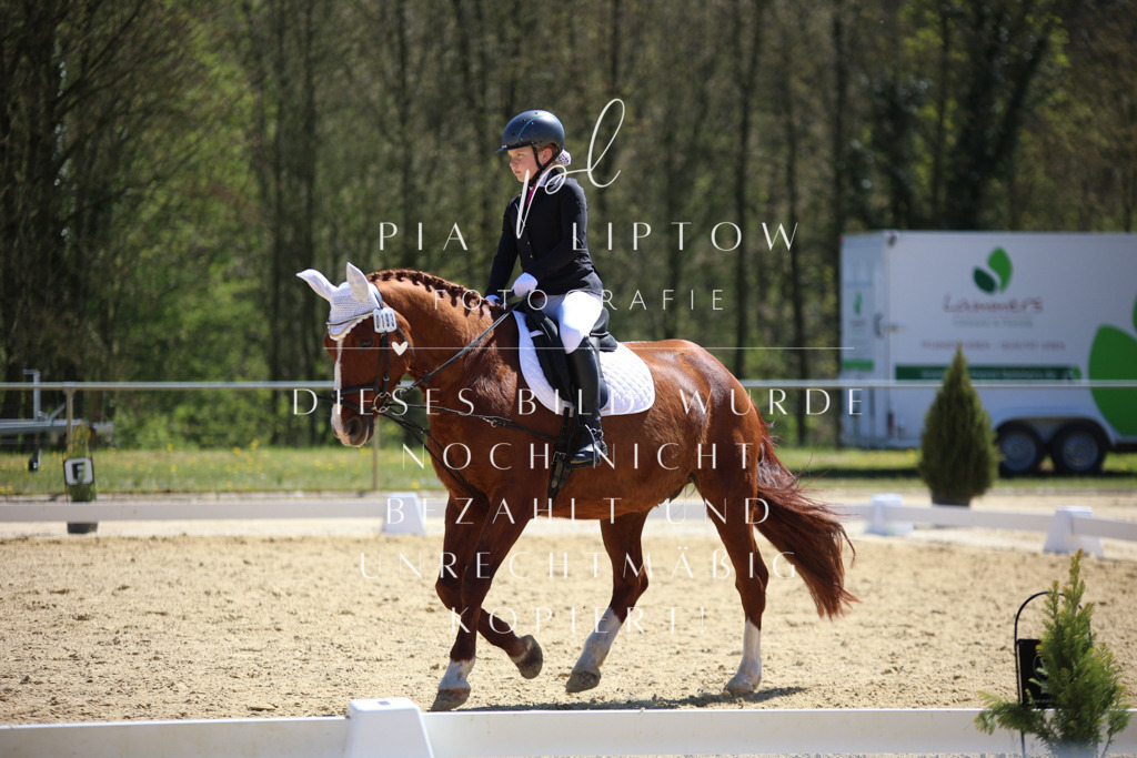 IMGT1263 | pl-fotografie