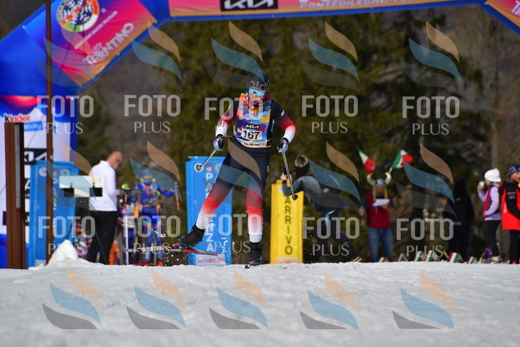 _DSC0520 | holidayphoto