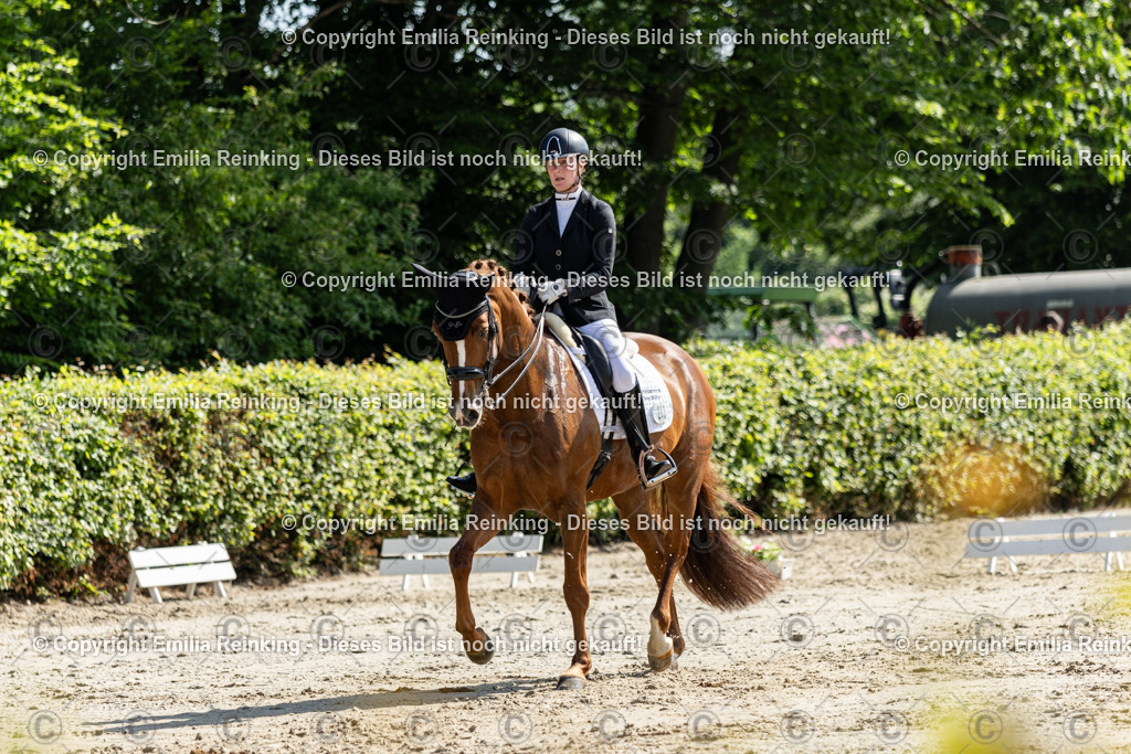 CL5A7450 | Emilia Reinking Fotografie - Realisiert mit Pictrs.com