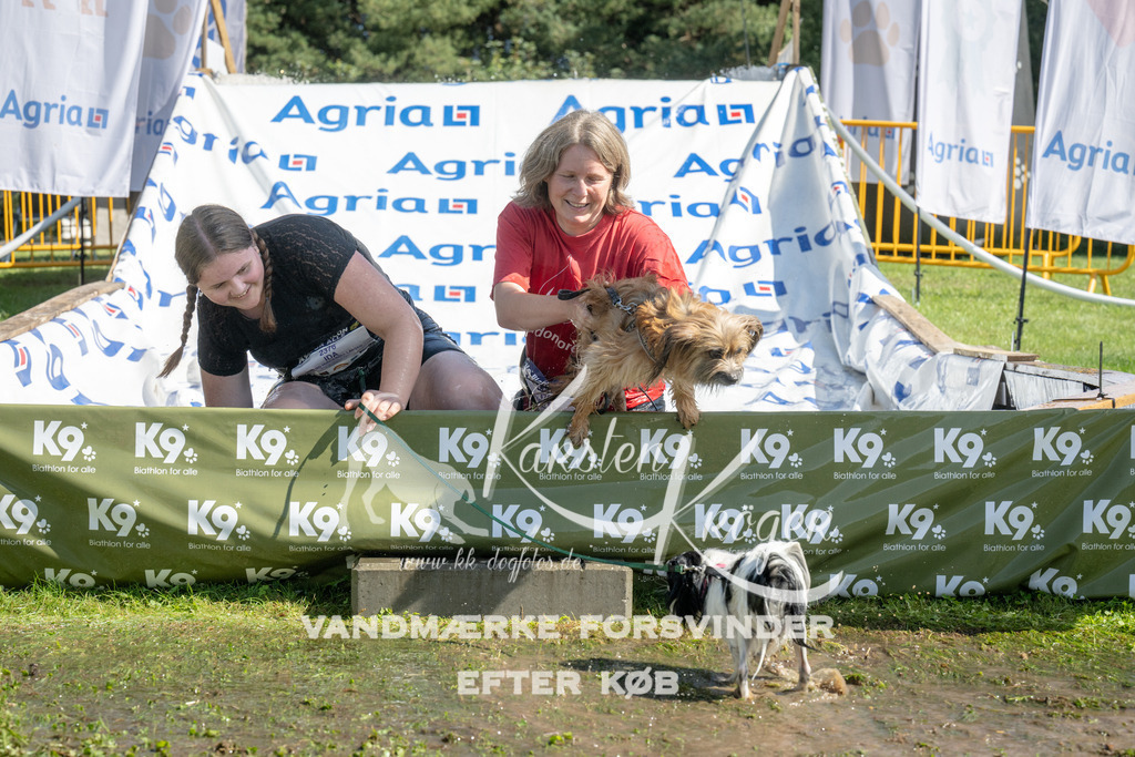 1136_ZZ93018 | kk-dogfotos