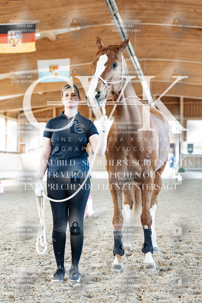 CK906053 | Turnierfotografie Pferdefotografie Trier Rheinland-Pfalz Pferdesport Reitsport Tierfotografie Sportfotografie Pferdevideo Pferdevideografie Equestrianvideography equestrianphotography  - Realisiert mit Pictrs.com