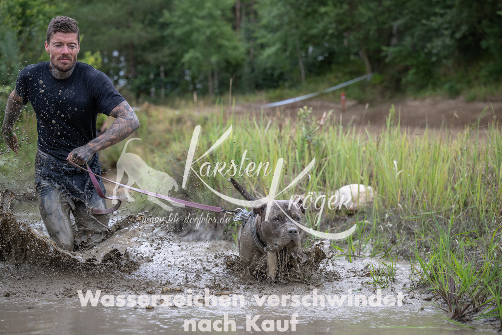 1230_ZZ99472 | kk-dogfotos