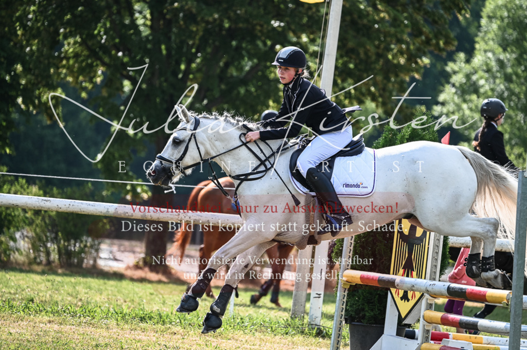 DSC_7728 | Pferde- und Turnierfotografie in Westsachsen. Pferdeportraits, Auftragszeichnungen und intuitive Kunst.