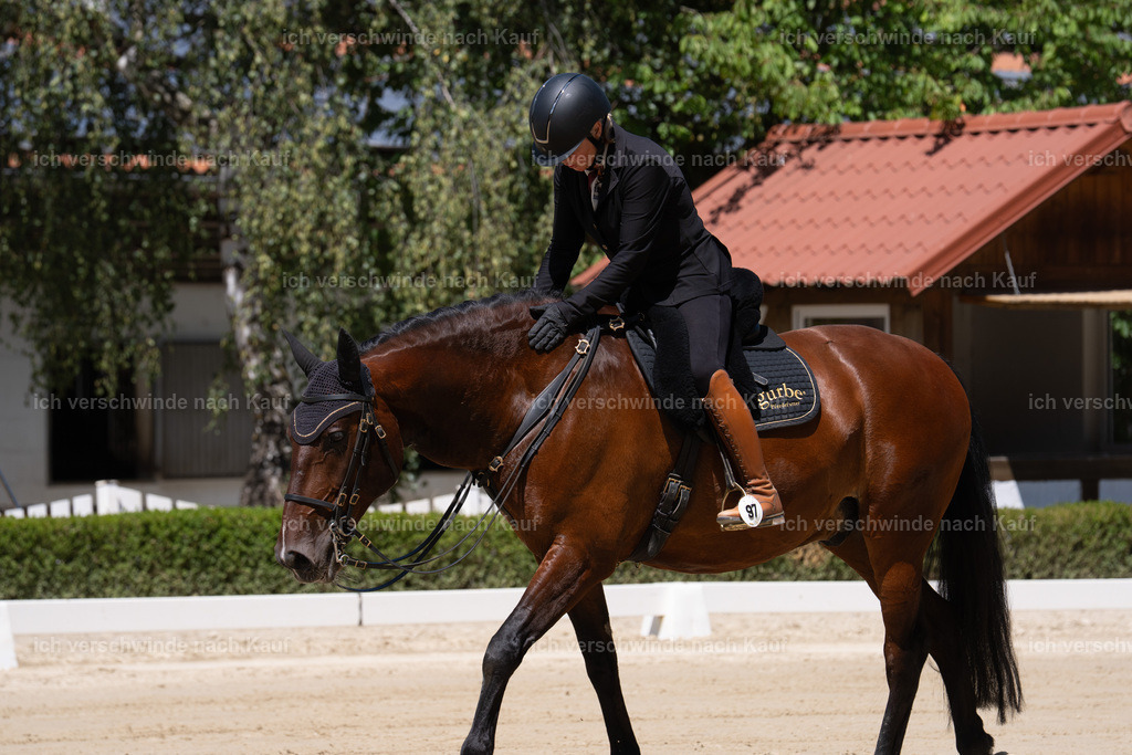 WS_DR_97_sinafilmart_IN08456 | working equitationturnier fotograf videograf stoibphotography marixx film working equitation deutschland reitsport turnierfotografie eventfotografie equestrian events