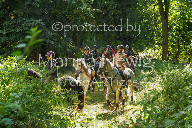 Jagd Perdoel_MarinaHewigMCH05086 | Fotografie, FotoArt, PferdesportArt, Pferdesportfotografie, Landschaftsfotografie, Reisefotografie, Reise, Pferde - Realisiert mit Pictrs.com