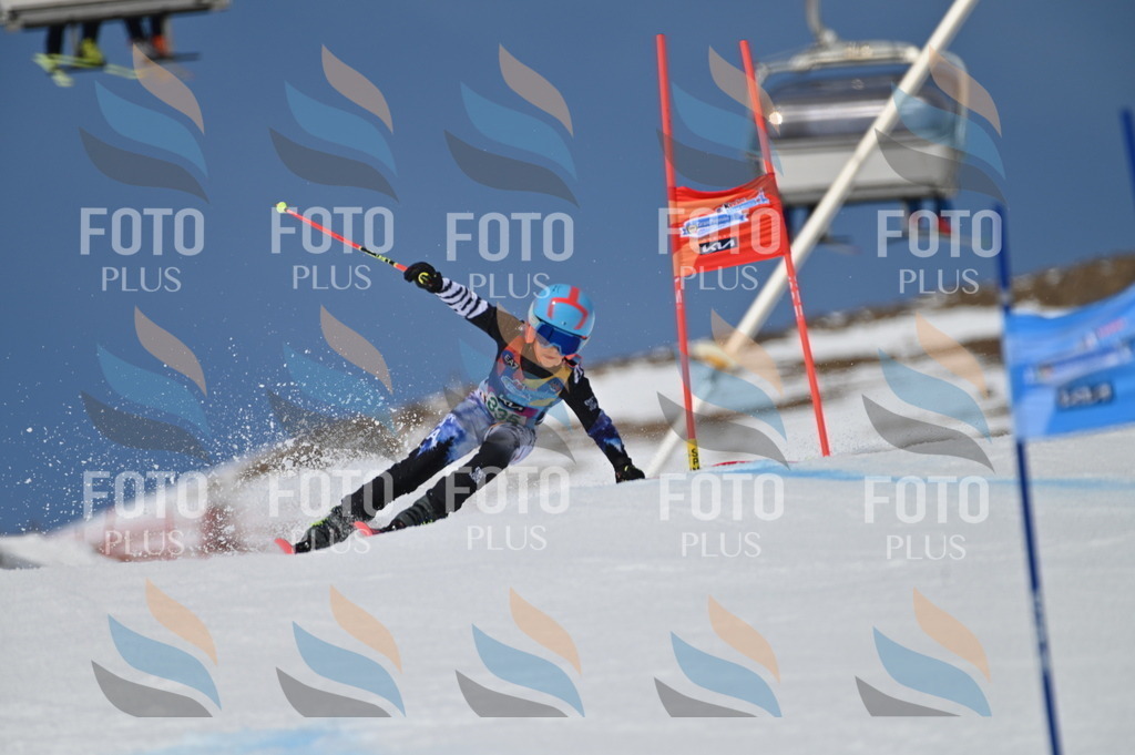 BGV_6621 | holidayphoto