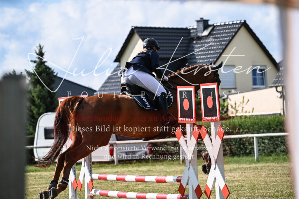 DSC_7755 | Pferde- und Turnierfotografie in Westsachsen. Pferdeportraits, Auftragszeichnungen und intuitive Kunst.