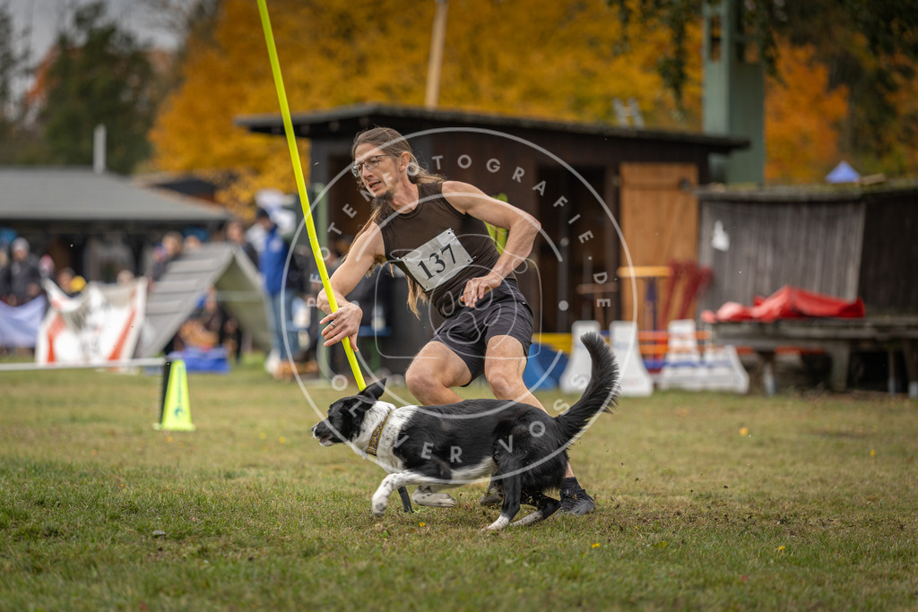 Pfotenfotografie_DV3A7871 | Hundefotografie, Tierfotograf, Pfotenfotografie, Fotoshooting Hund, Hunde Portrait, Hundesport, Hundeportraits, Heideshooting, Hunde, Sportfotograf, Hundefotograf, Turnierhundsport, THS,  - Realisiert mit Pictrs.com