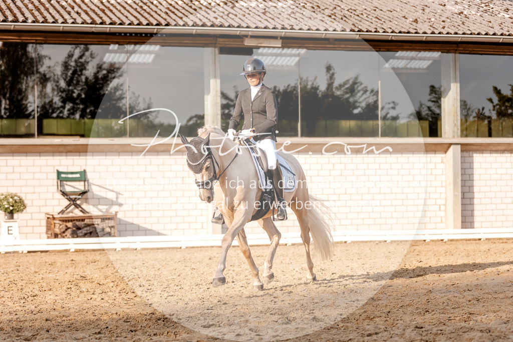 3I6A2437 | Stimmungsvolle Portraits und Reitsportfotografie im Ruhrgebiet und im Münsterland.

Pferdefotografie, Hundefotografie, Tierfotografie, Reportagen, Portraits von Tier und Mensch, Turnierfotografie in Bochum, Recklinghausen, Marl, Haltern am See, Dülmen.. - Realisiert mit Pictrs.com