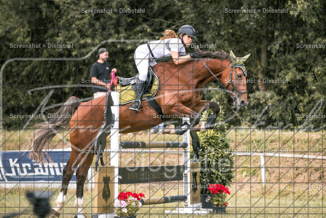 _W6A9056 | ronjaprokoschfotografie - Realisiert mit Pictrs.com