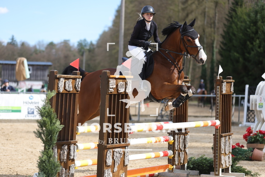 0P6A9600 | Willkommen bei Brunnmayr - Design & Fotografie – Ihrem Spezialisten für Reitturniere und Pferdeveranstaltungen in Oberösterreich, Salzburg und Bayern! Seit über 17 Jahren sind wir leidenschaftlich dabei.