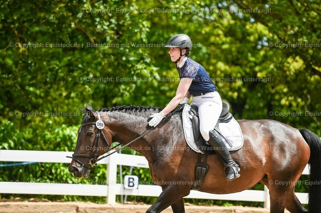 20230715_05_Dressurprüfung Kl.A++_0398 | equistock