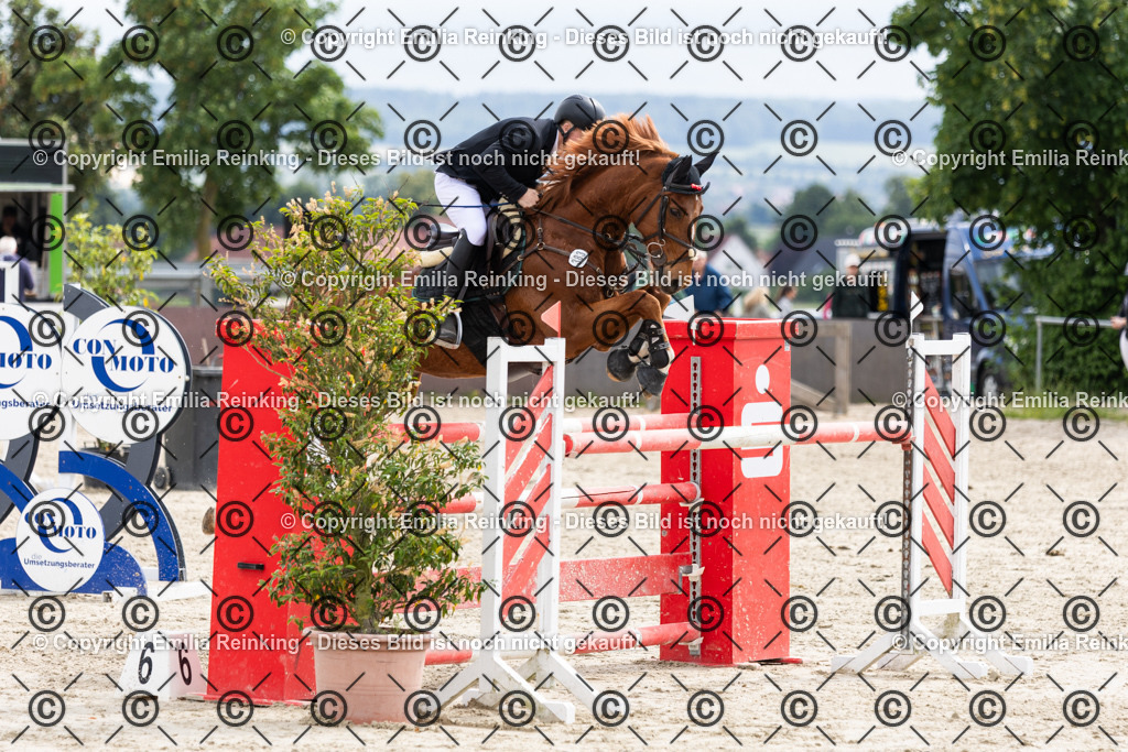 CL5A2641 | Emilia Reinking Fotografie - Realisiert mit Pictrs.com