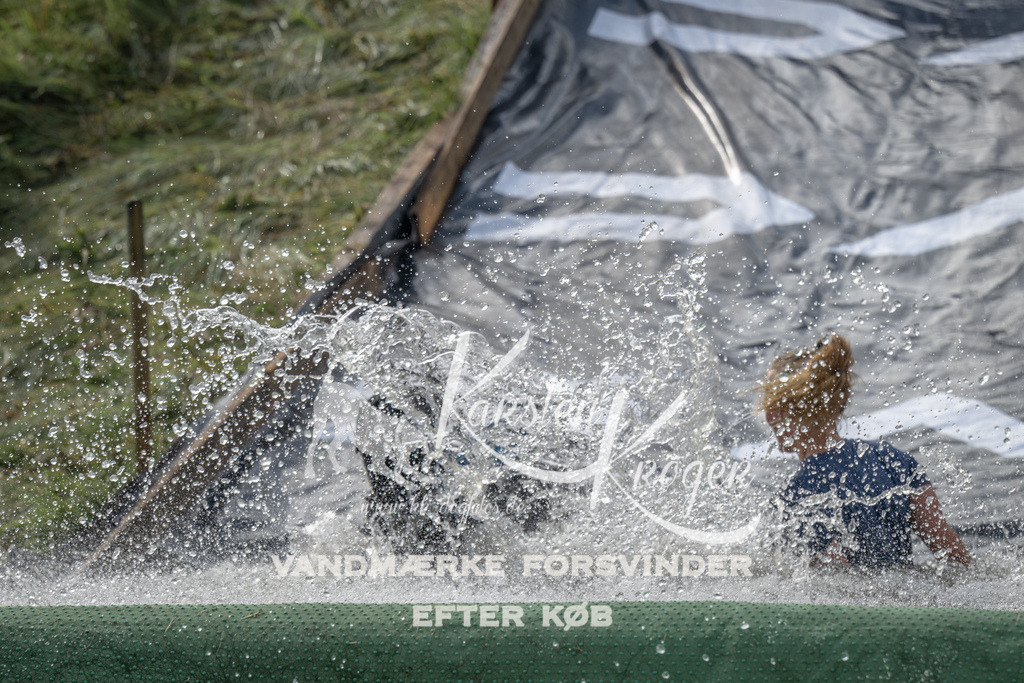 1121_ZZ92959 | kk-dogfotos