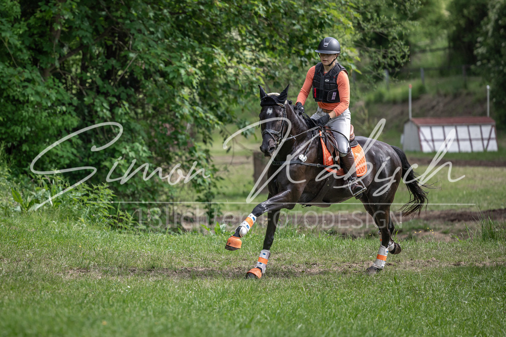 20260523-_3LI9582 | Tierfotografie Pferde, Hunde, Katzen, Haustiere.
Turnierfotografie Reitturniere, Reiten, Springreiten, Dressur in Hanau, dem Main-Kinzig-Kreis und dem Rhein-Main- Gebiet um Frankfurt