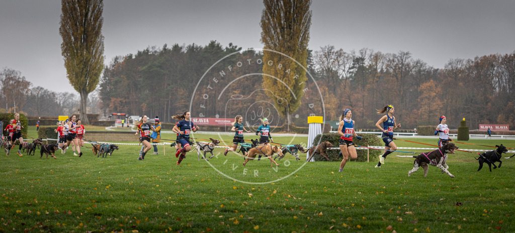 CaniXpix_DV3A8774 | Hundefotografie, Tierfotograf, Pfotenfotografie, Fotoshooting Hund, Hunde Portrait, Hundesport, Hundeportraits, Heideshooting, Hunde, Sportfotograf, Hundefotograf, Turnierhundsport, THS,  - Realisiert mit Pictrs.com