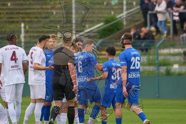 BFC Dynamo vs. VSG Altglienicke 027 | mythos-online-redaktion