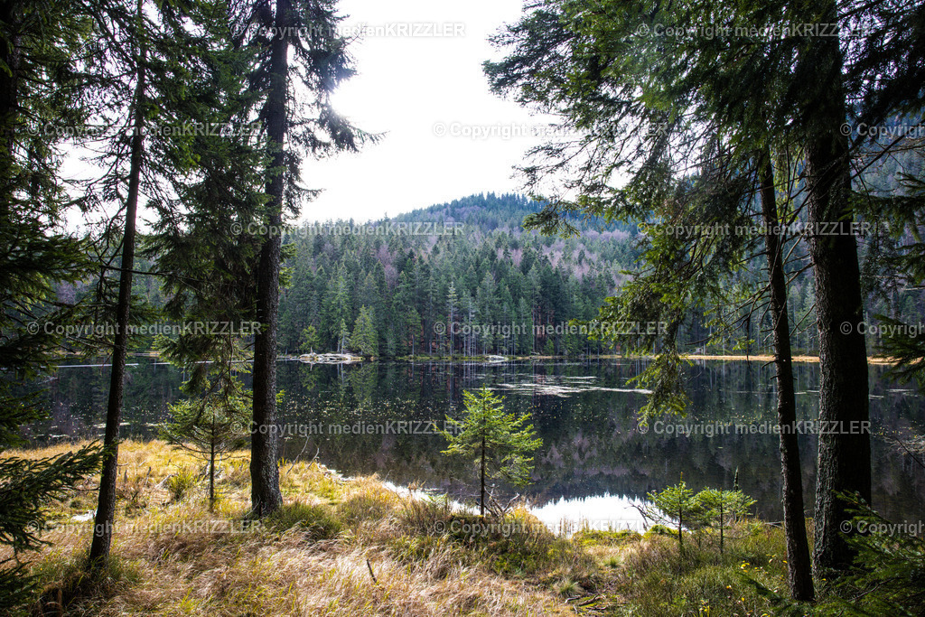 _J3A9061 | medienkrizzler - Realisiert mit Pictrs.com