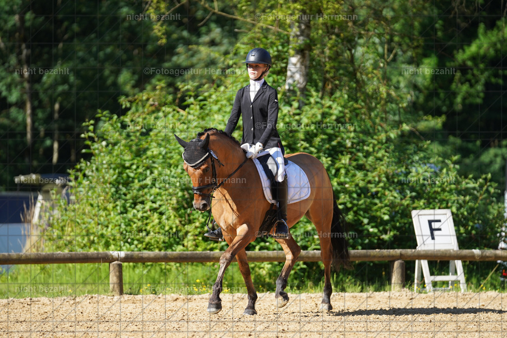 20240706-FAH04510 | Grafing Turnierfotos, Reitverein Ebersberg, Turnierfotografen Bayern, reitsportbilder, Pferdefotograf, reitsportfotograf, Sportbilder, Reitsportfotografie, Fotoagentur Herrmann, Turnierfotograf