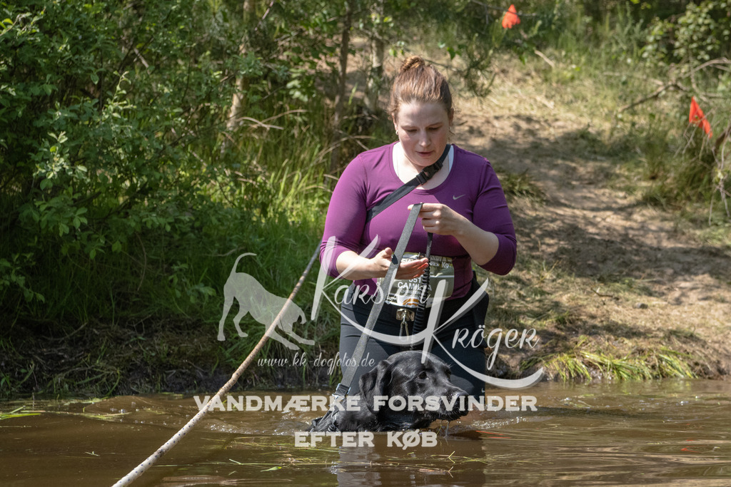 1419DKK990256 | kk-dogfotos