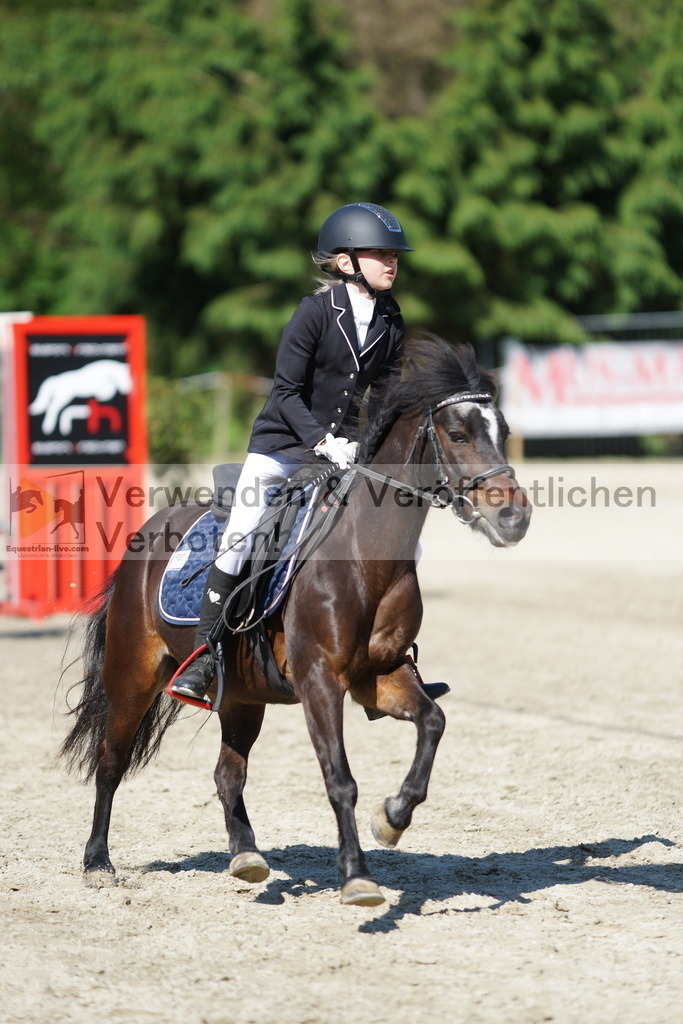 DSC06086 | equestrian-live-com