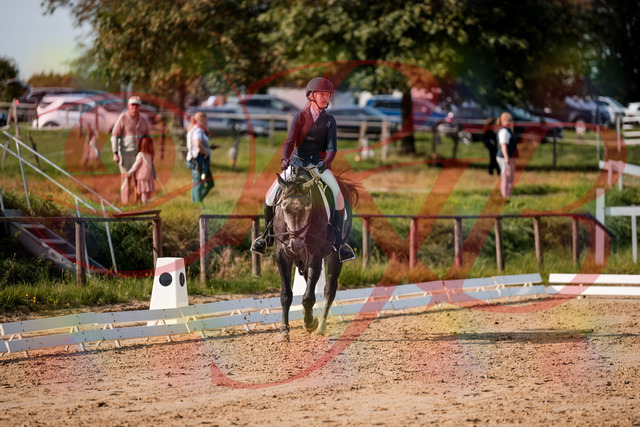 2026_10_03_Siefer-Hof_120114_Z63_33205576 | Professionelle Reitsport-, Turnier- und Eventfotografie von Robert Broda. Galerien mit ausgewählten und bearbeiteten Bildern direkt online ansehen und bestellen.