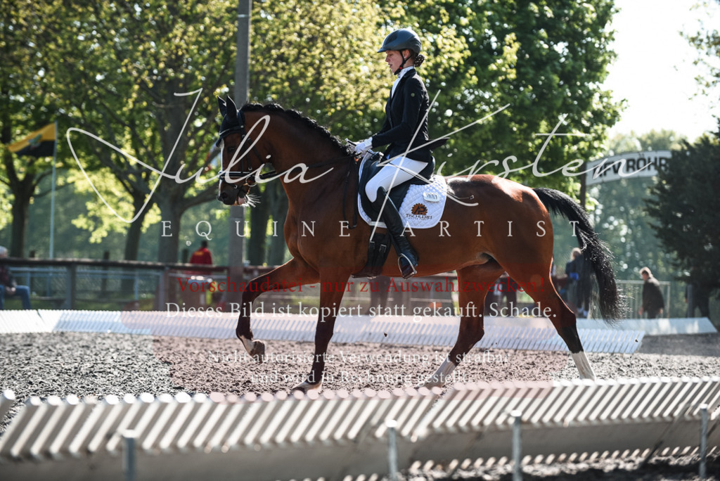 DSC_8686 | Pferde- und Turnierfotografie in Westsachsen. Pferdeportraits, Auftragszeichnungen und intuitive Kunst.